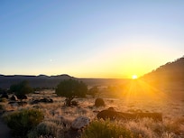 Sunrise from driveway