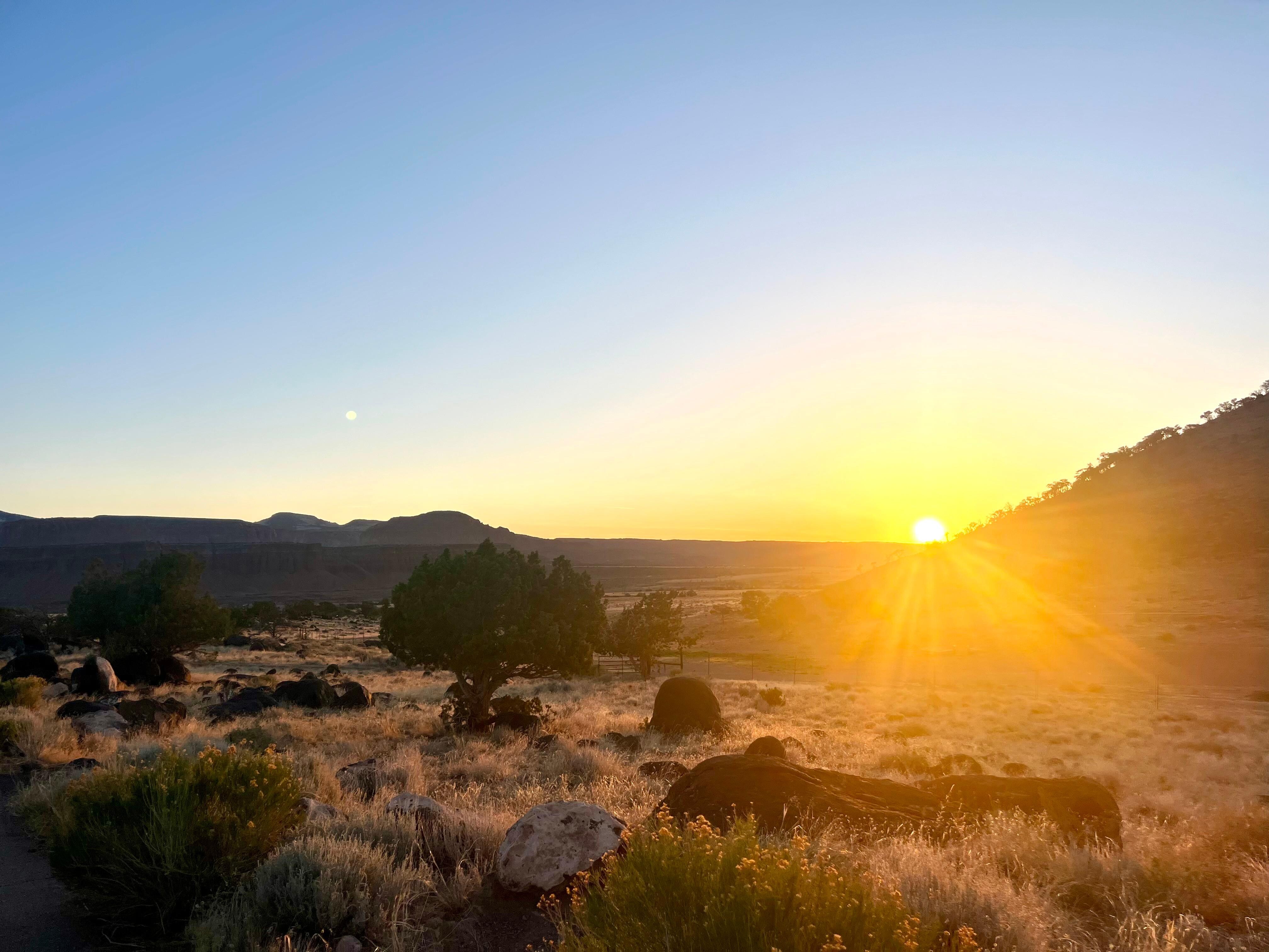 Sunrise from driveway