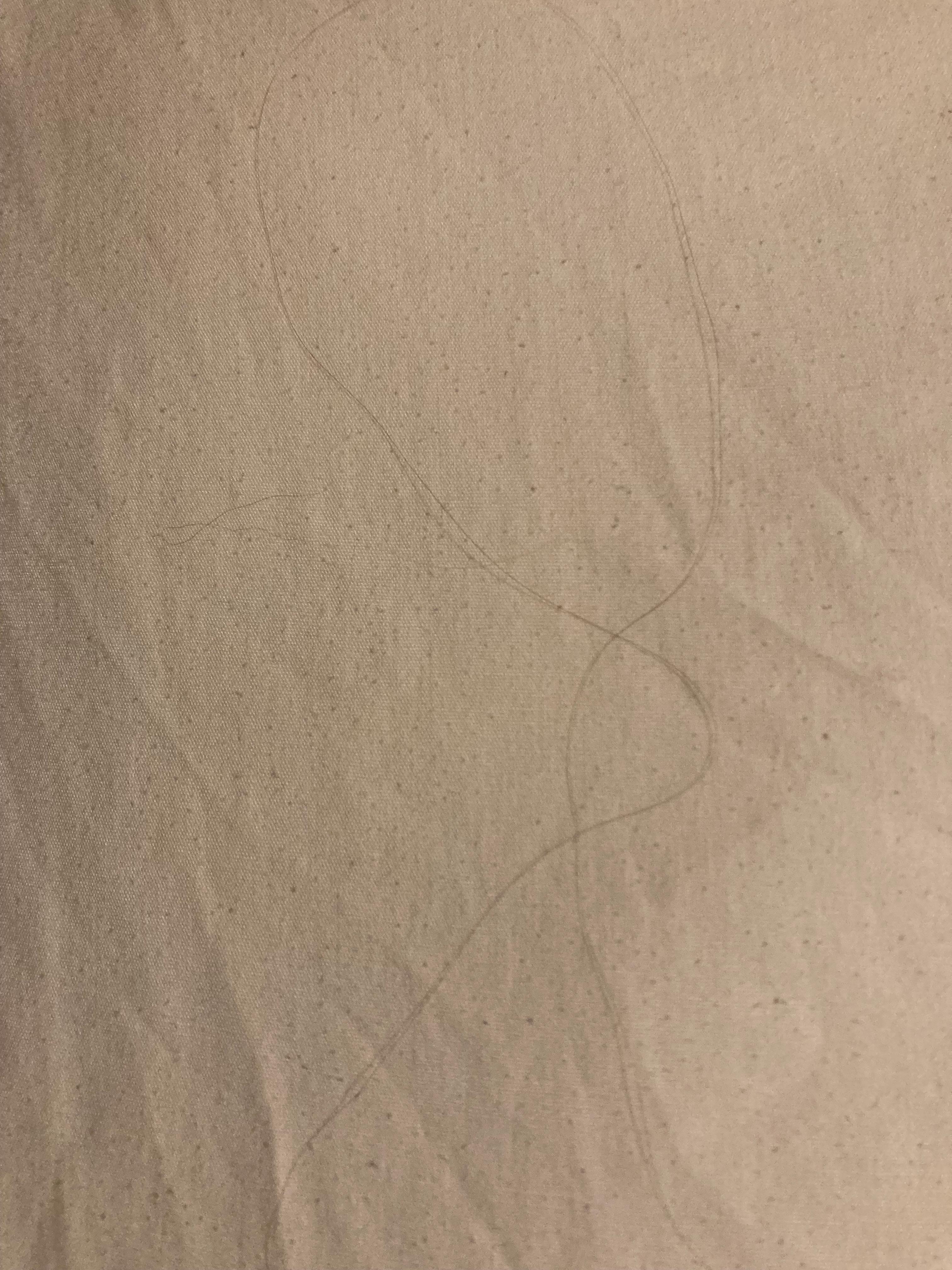 Someone’s hair on pillowcase. 