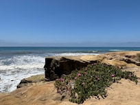 Cove
