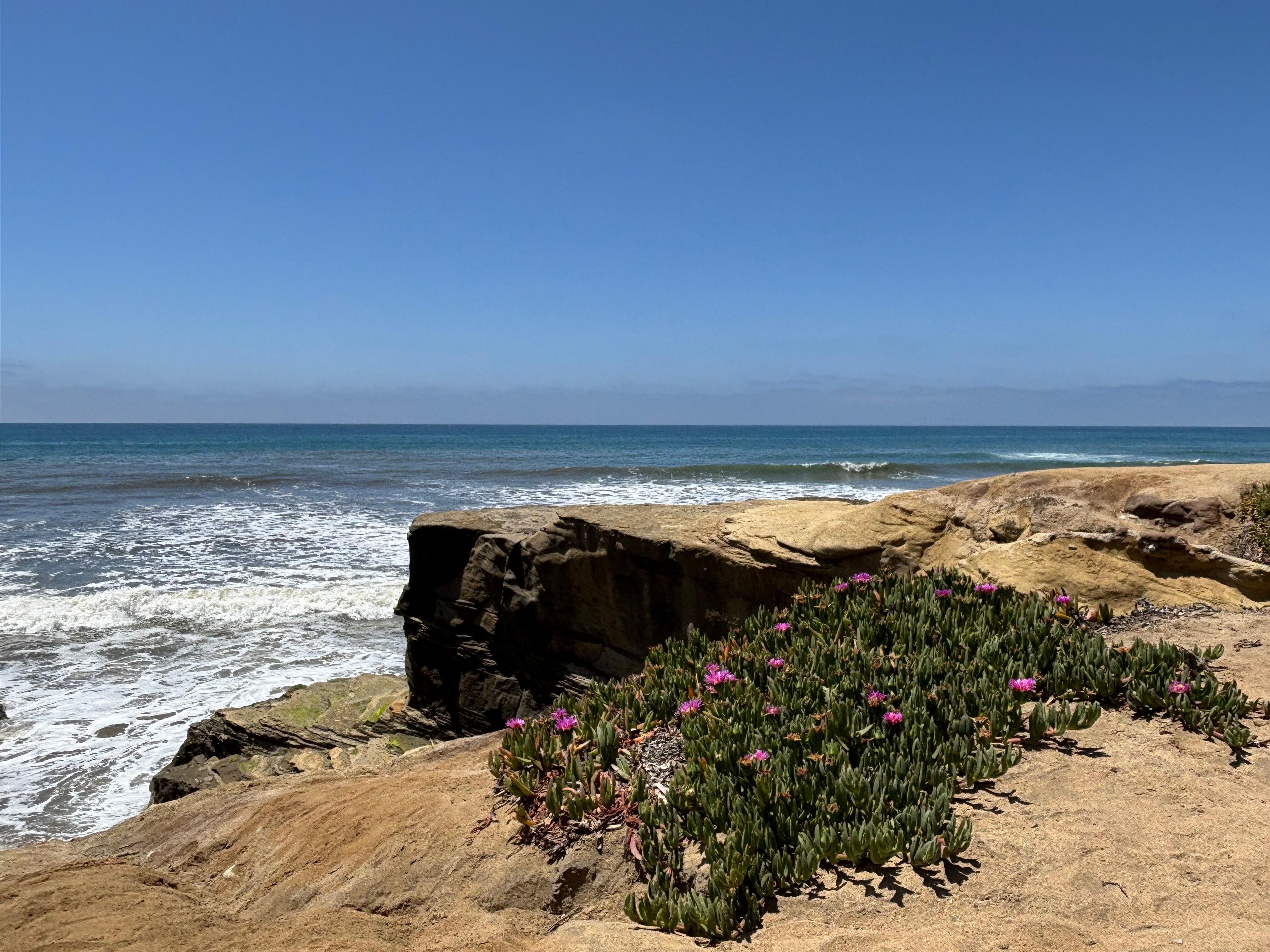 Cove