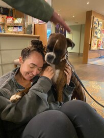 Dog friendly in the bar