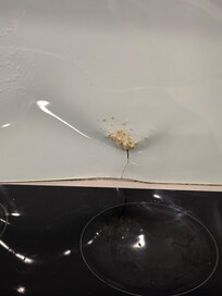 damage to splash back behind cook top.