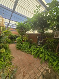 The greenhouse was special!