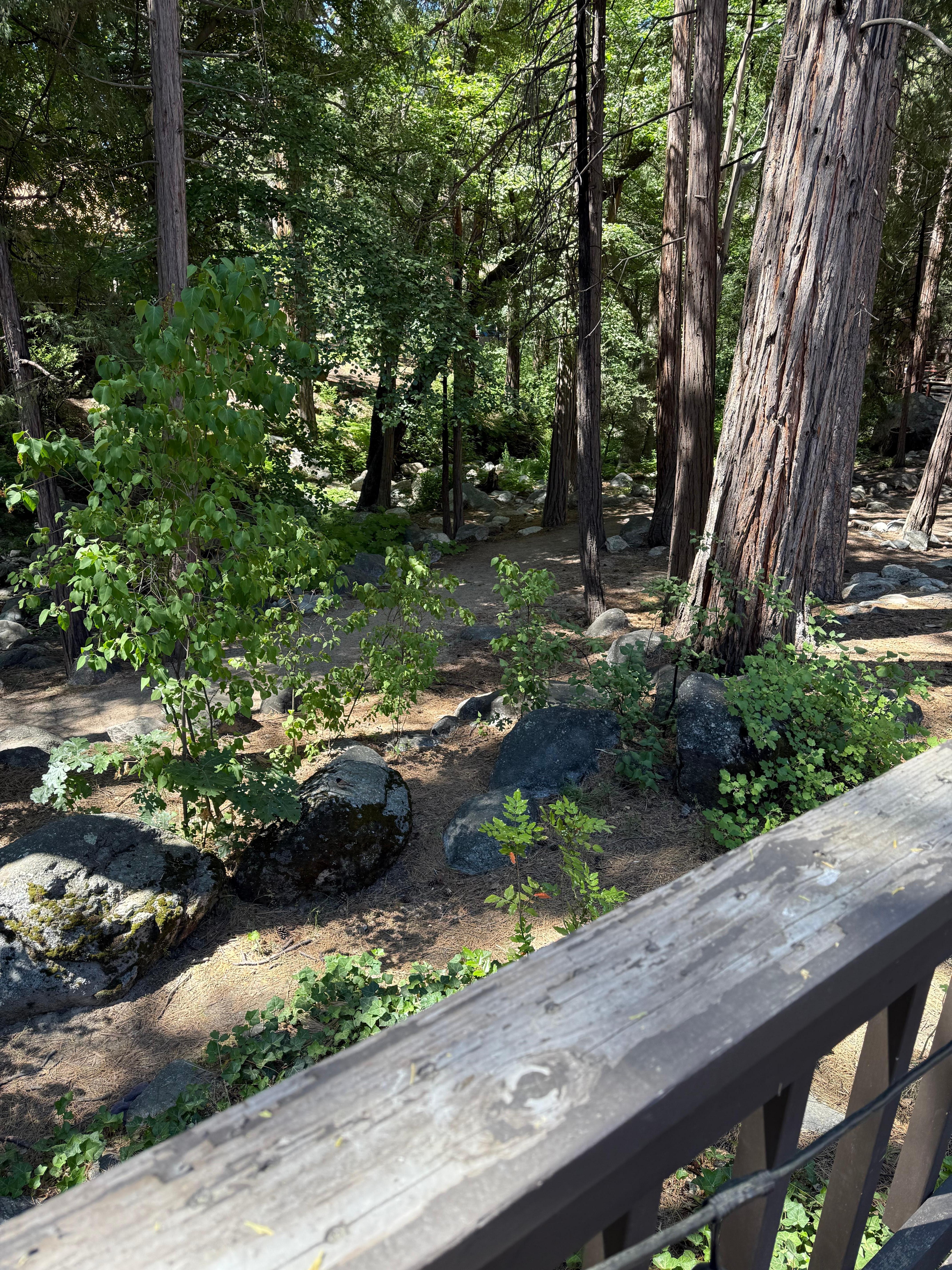 view front deck