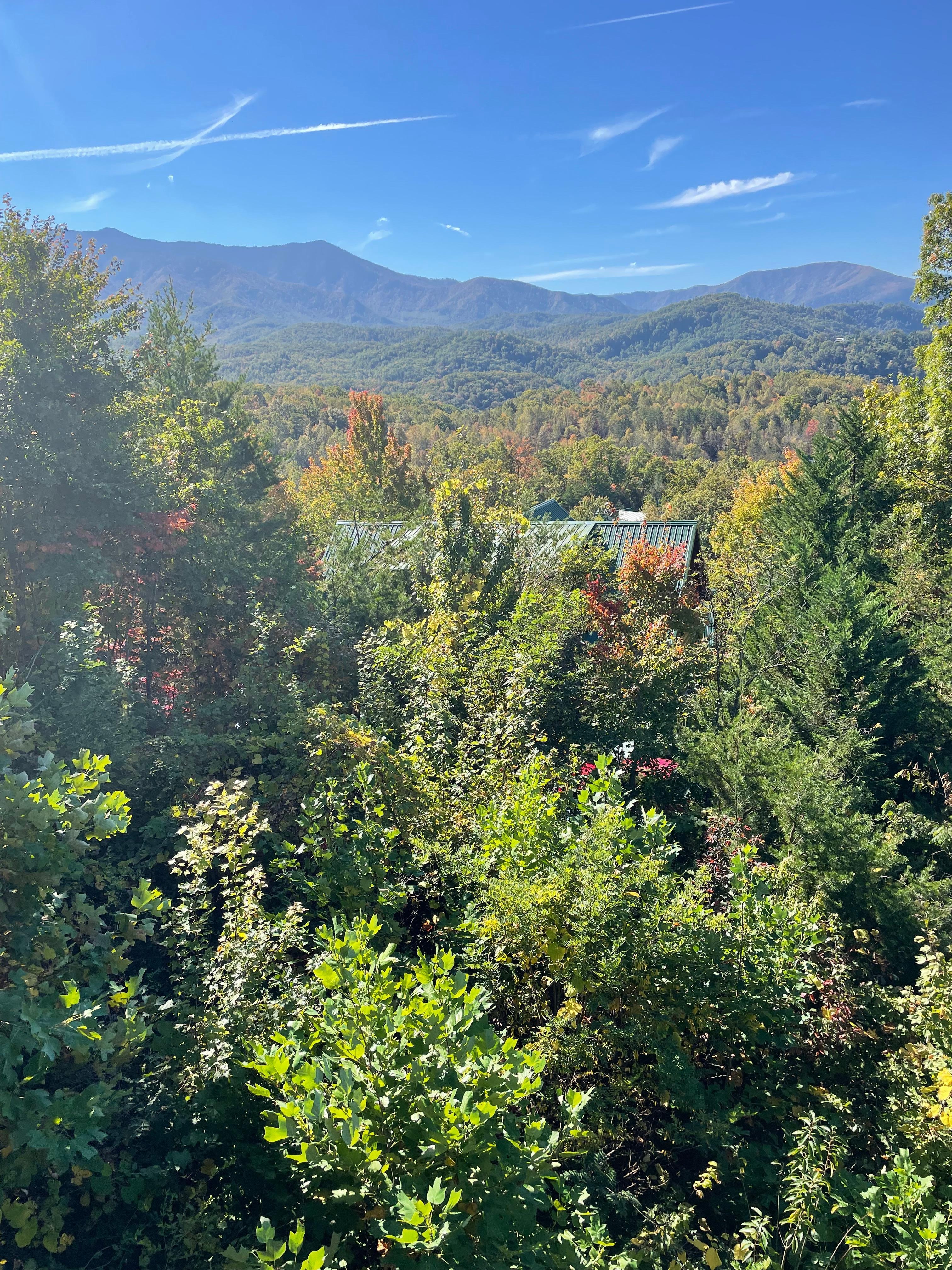 Great cabin view
