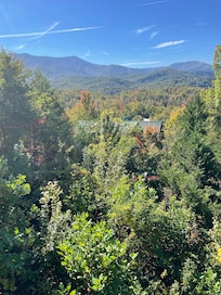 Great cabin view
