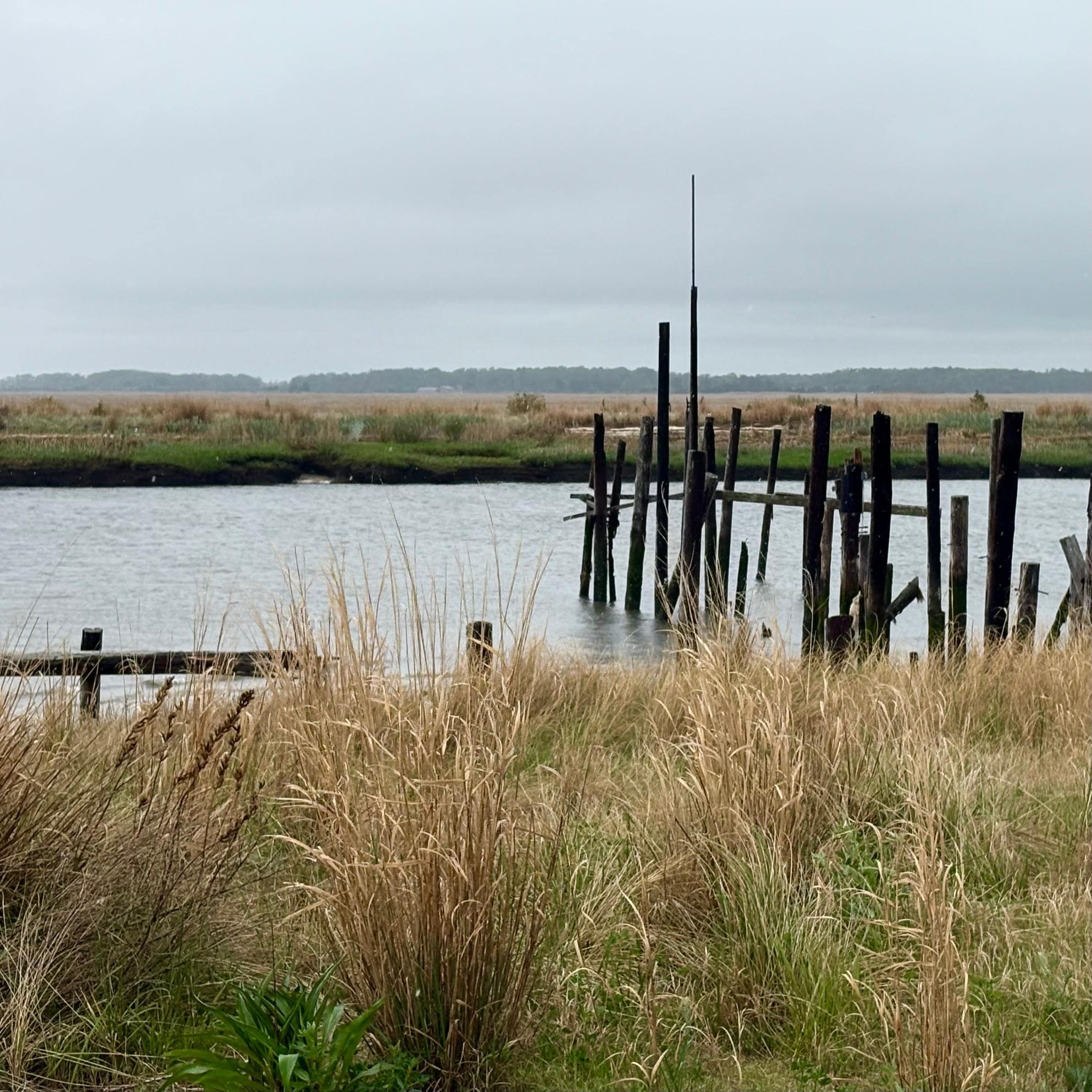 Inlet to marina.
