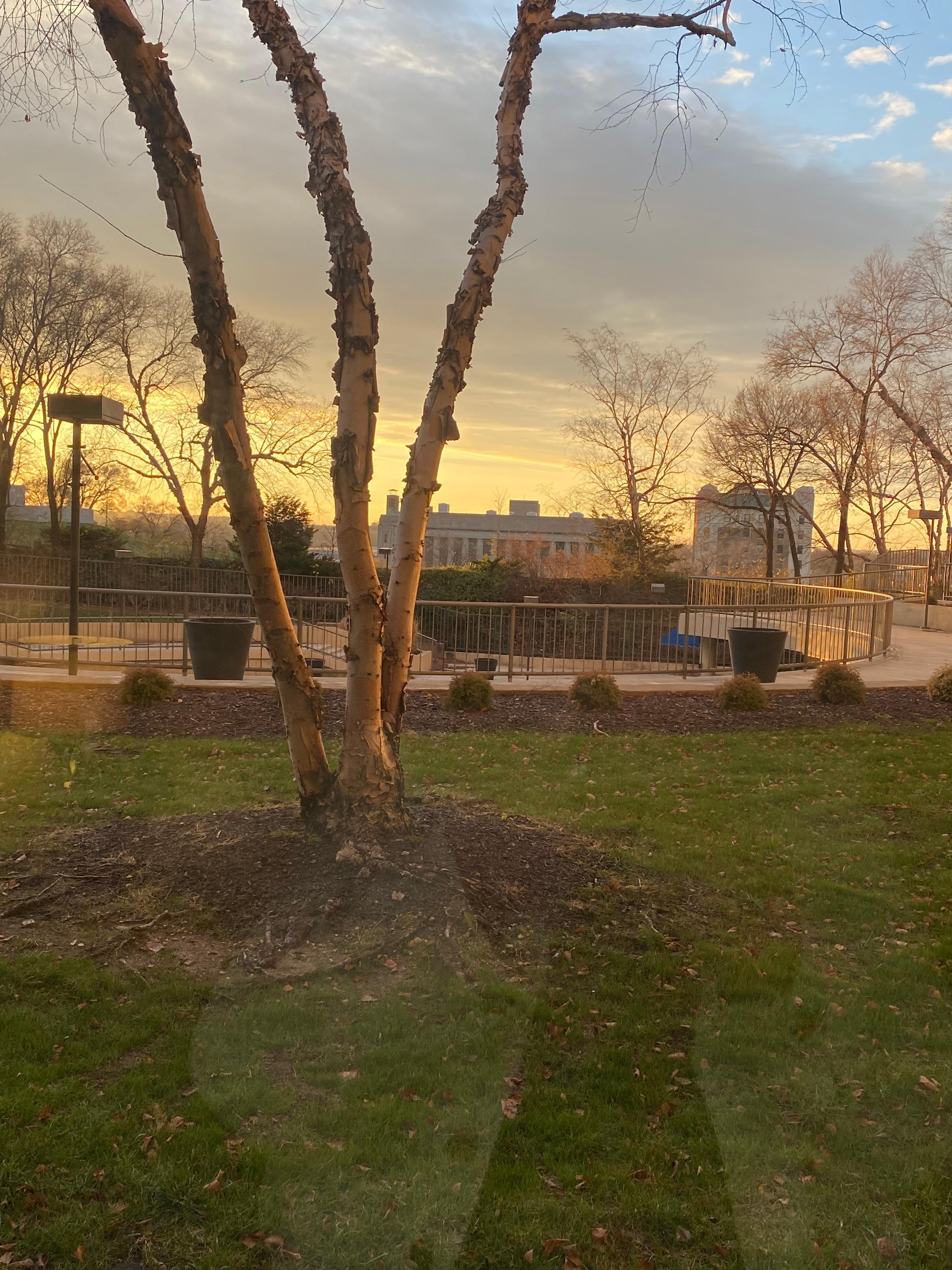 My view from my room on the 6th floor with the horrible marijuana smell. Sick @ stomach and migraine for 3 days 