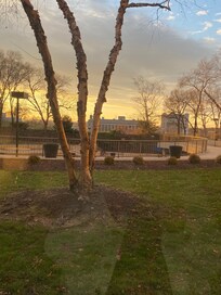 My view from my room on the 6th floor with the horrible marijuana smell. Sick @ stomach and migraine for 3 days