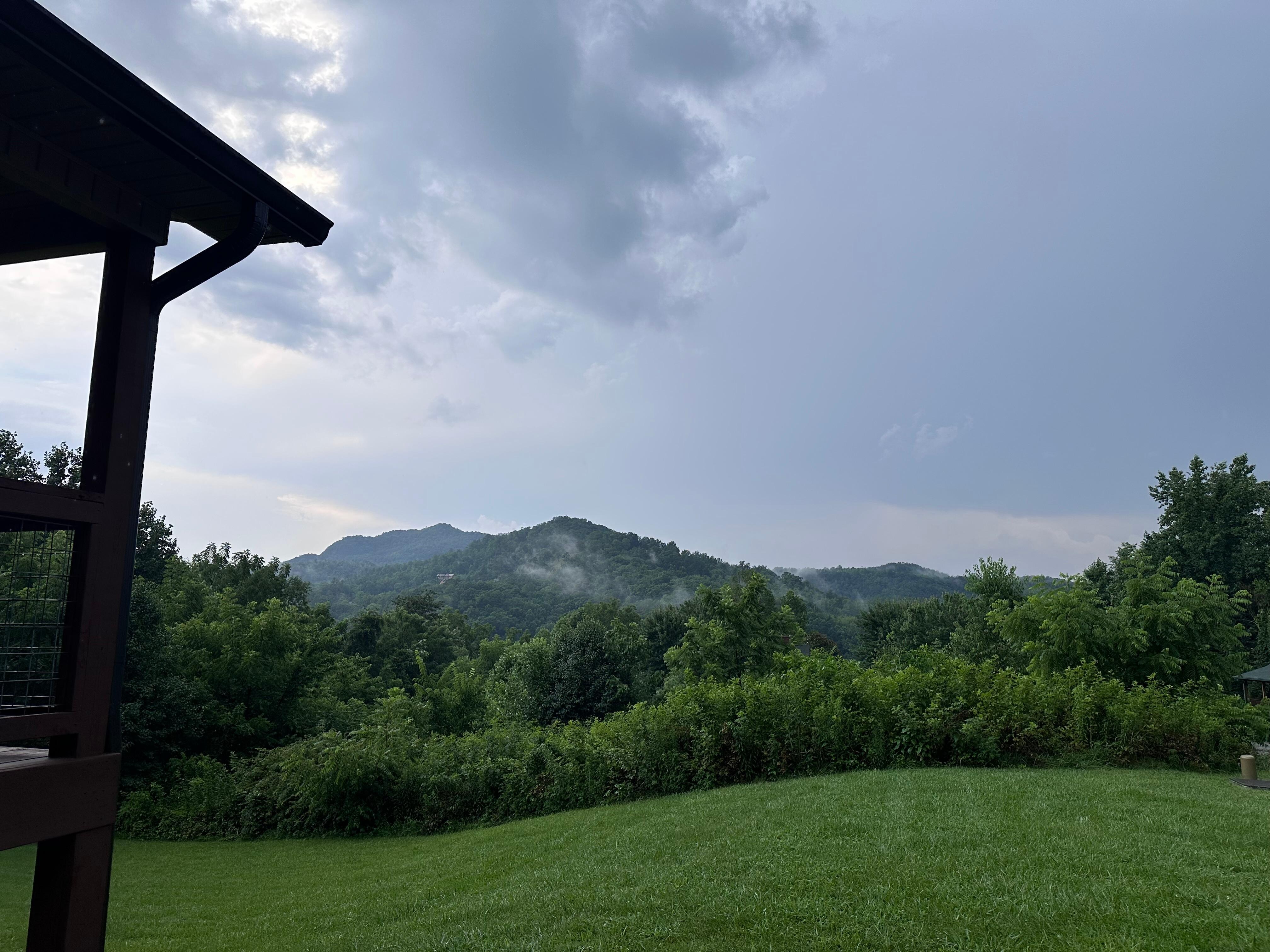 From the front yard