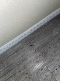 Dirty floors
