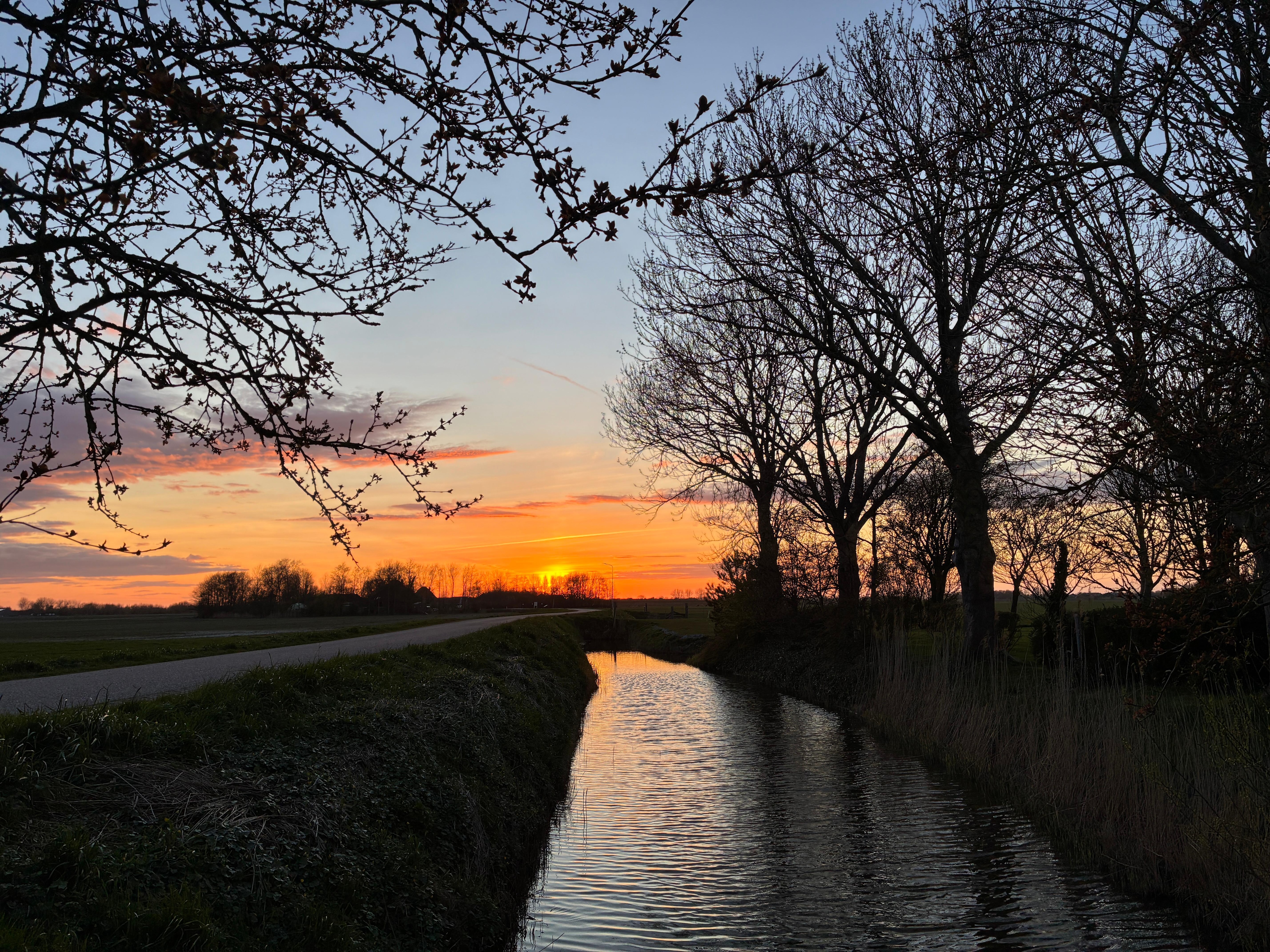 Sunset in front of the house. 