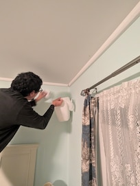 First night, captured 30 stink bugs from 2 bedrooms and 2 bathrooms.