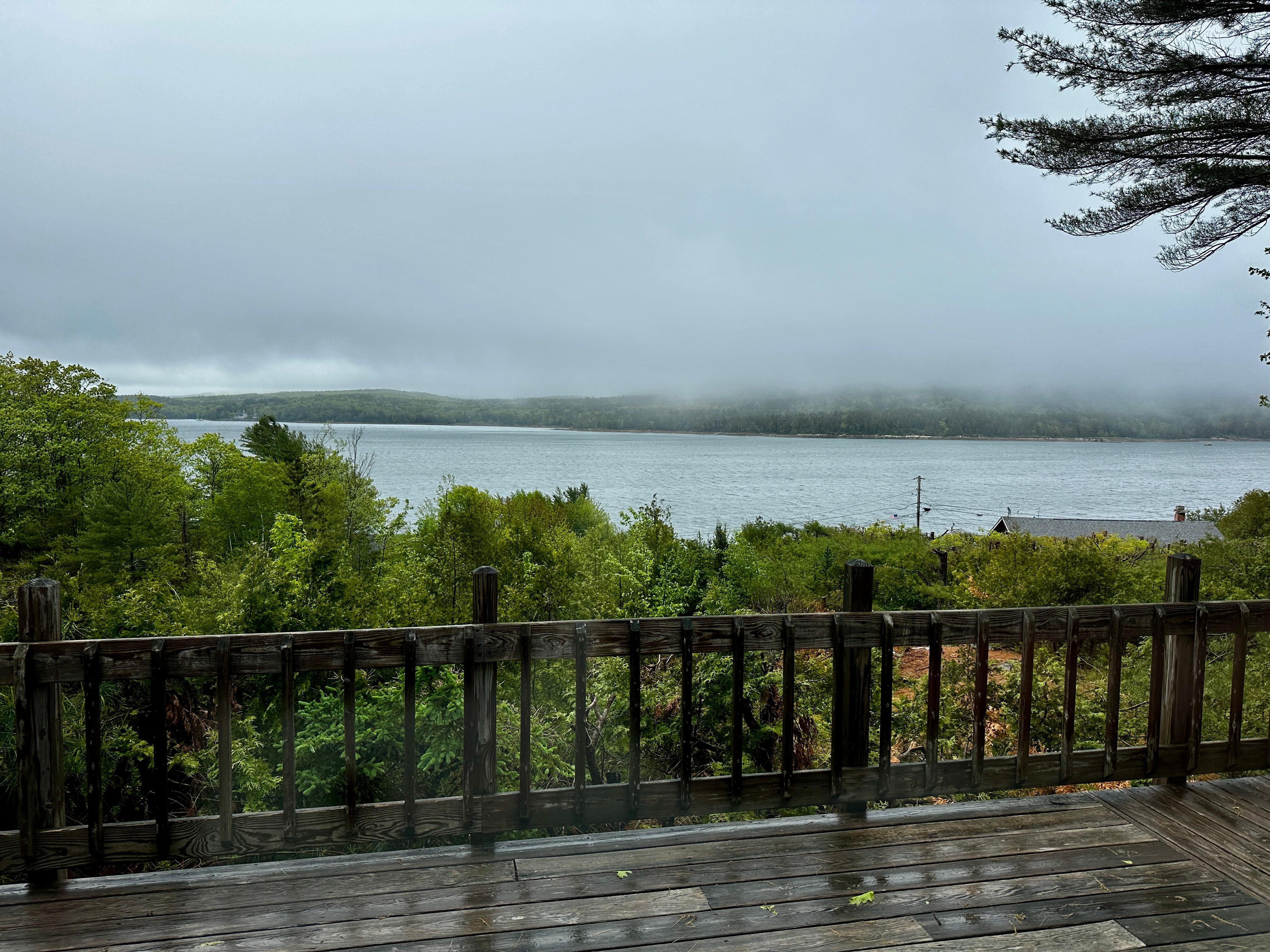 Foggy early morning with a little rain.