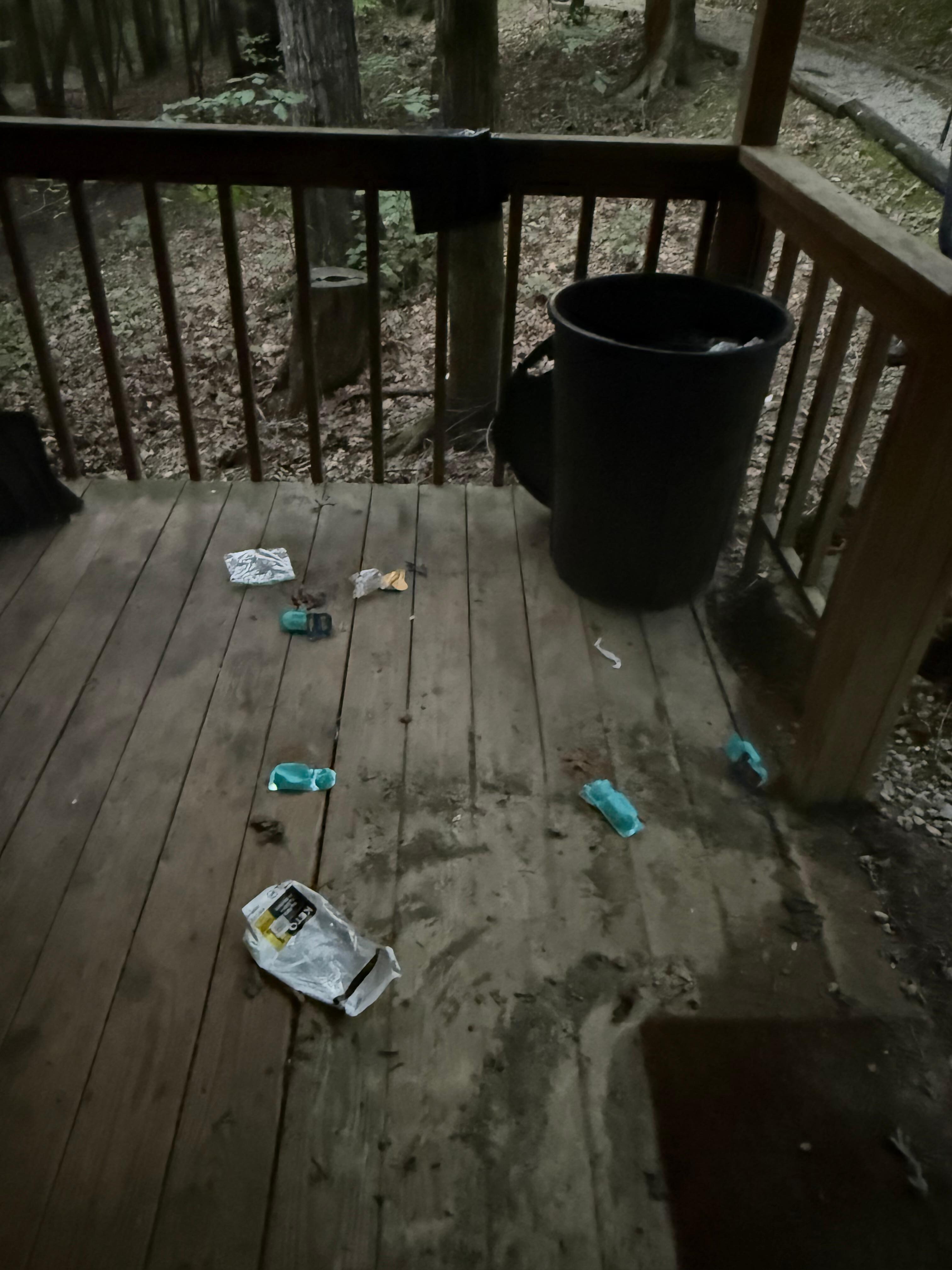 No one had cleaned after previous guests, trash was everywhere and inside was dirty too