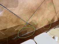 Insects on the floor