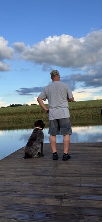 Spruce the Wirehaired Pointing Griffon