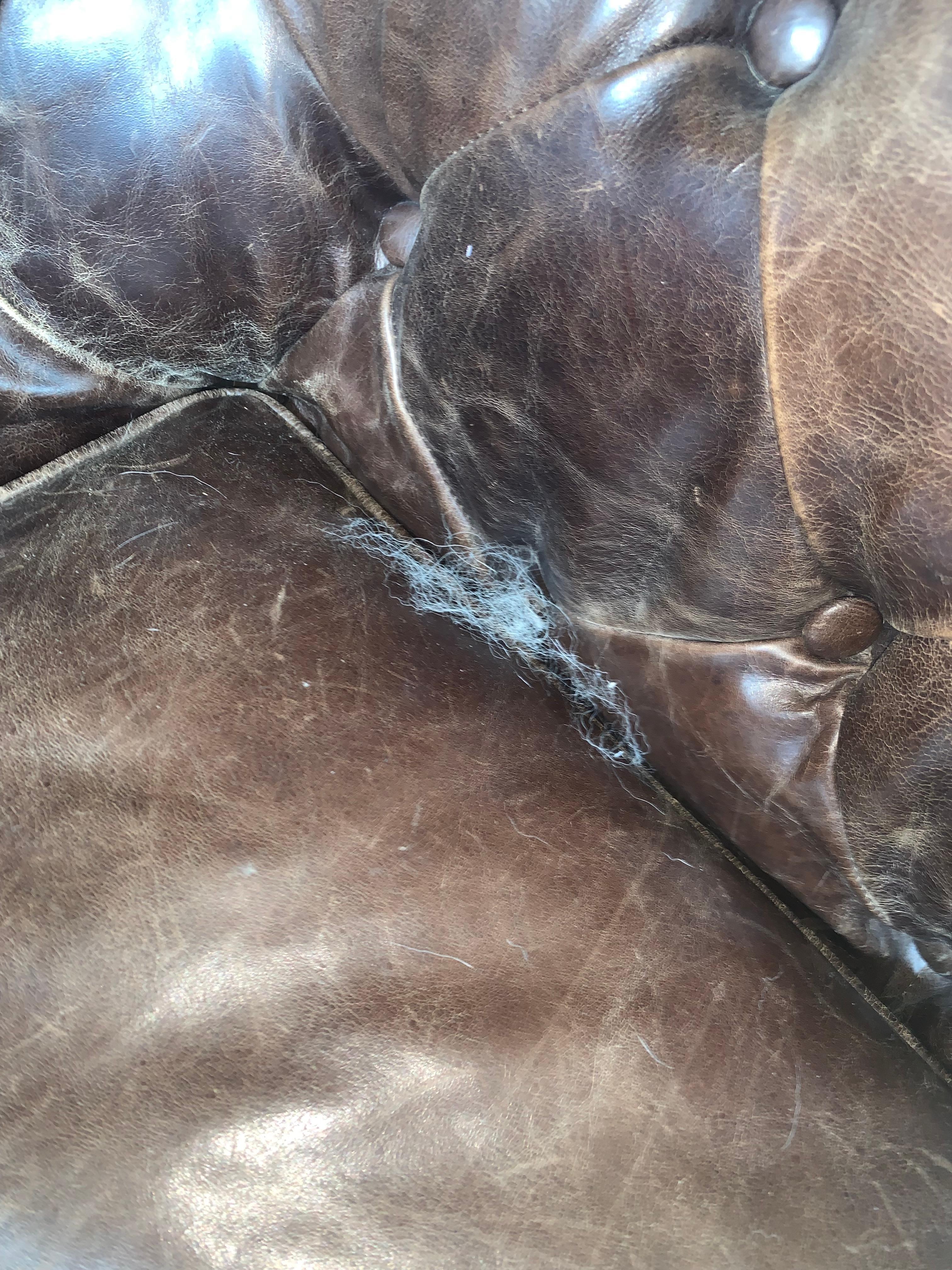 One of the many pieces of furniture with clumps of hair and dirt.