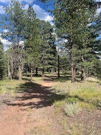 Onsite trail