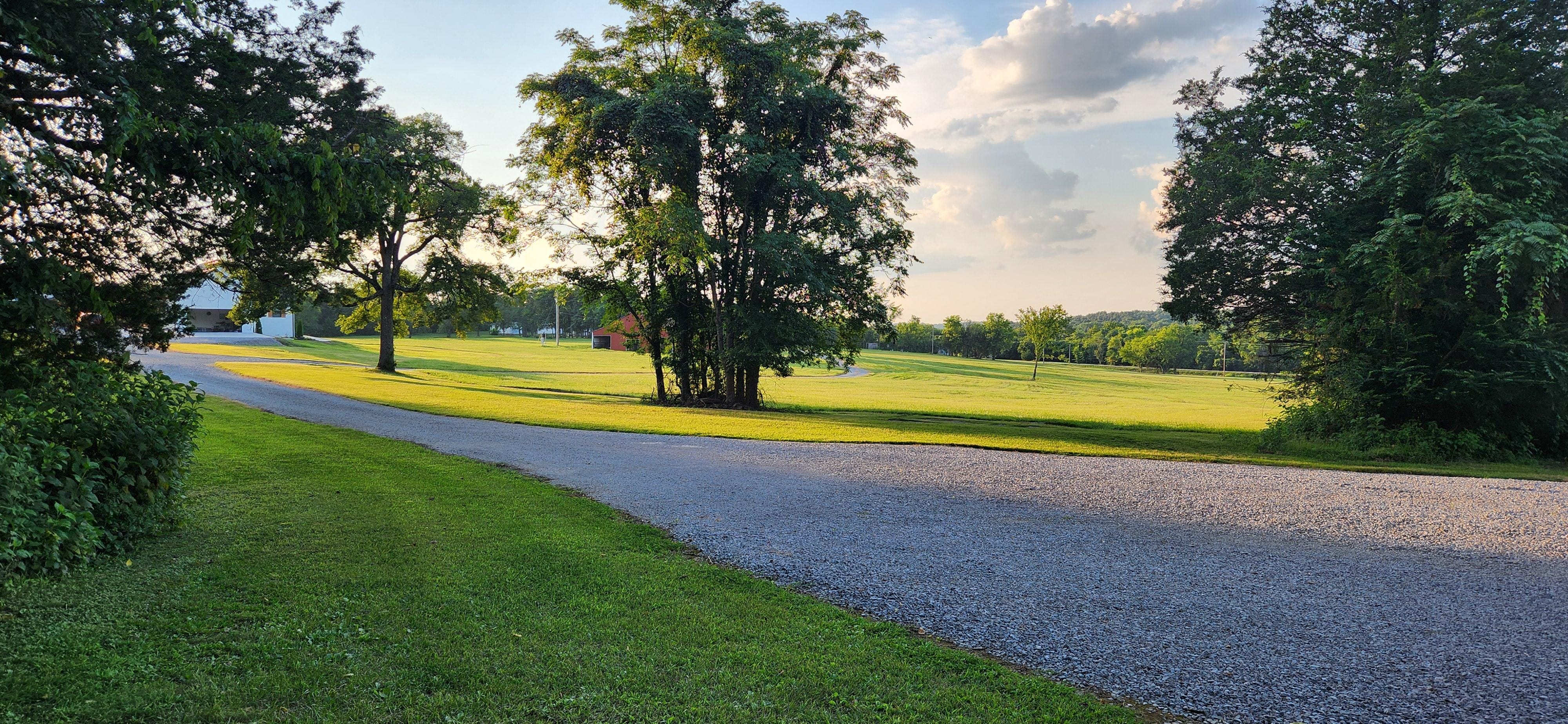 The driveway was long & gorgeous 