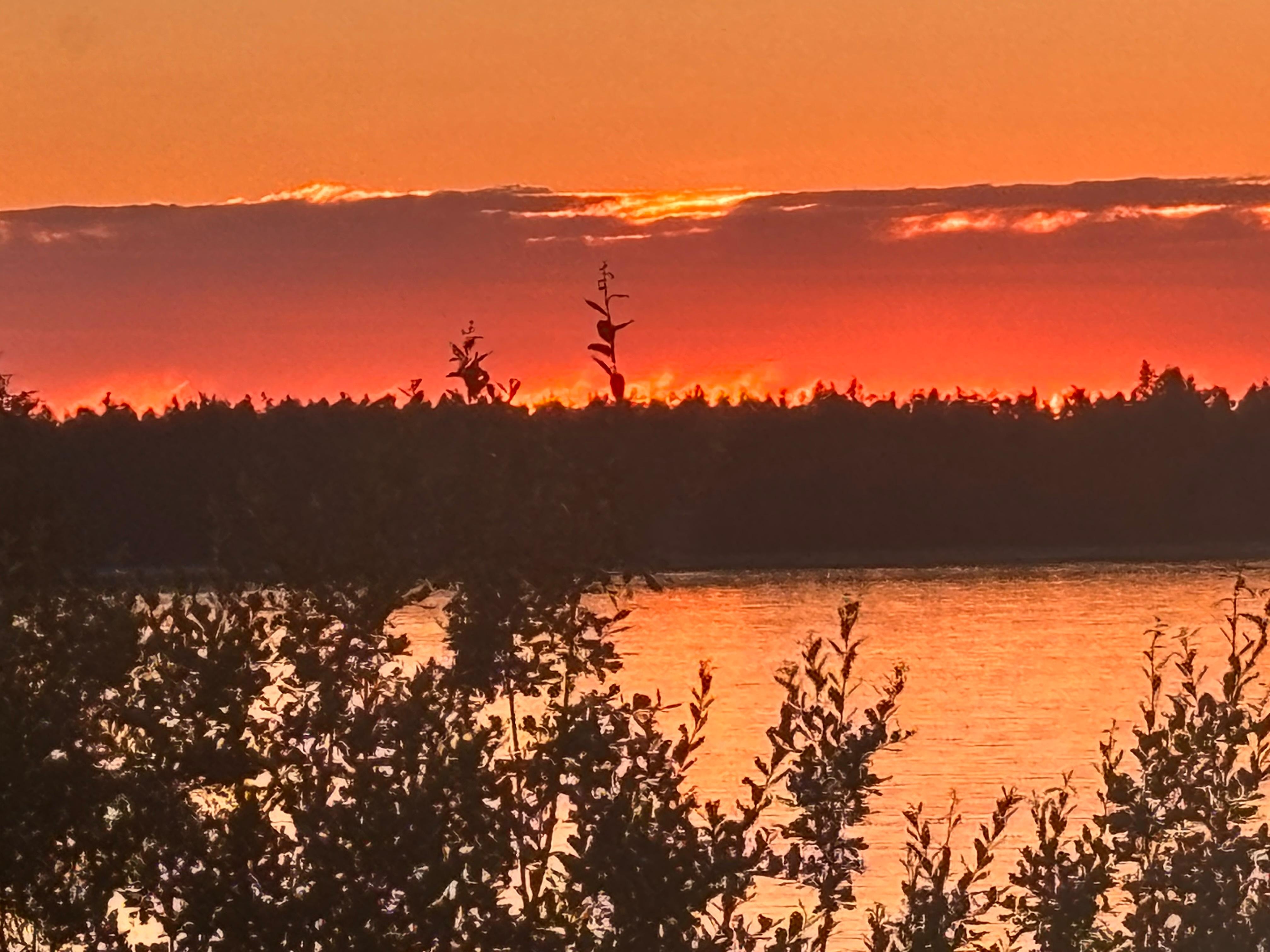 Sunset view. 