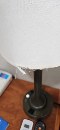 Wire exposed on lamp.