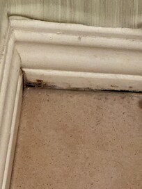 Inside master bathroom