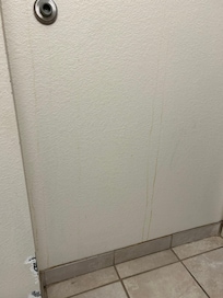Bathroom wall