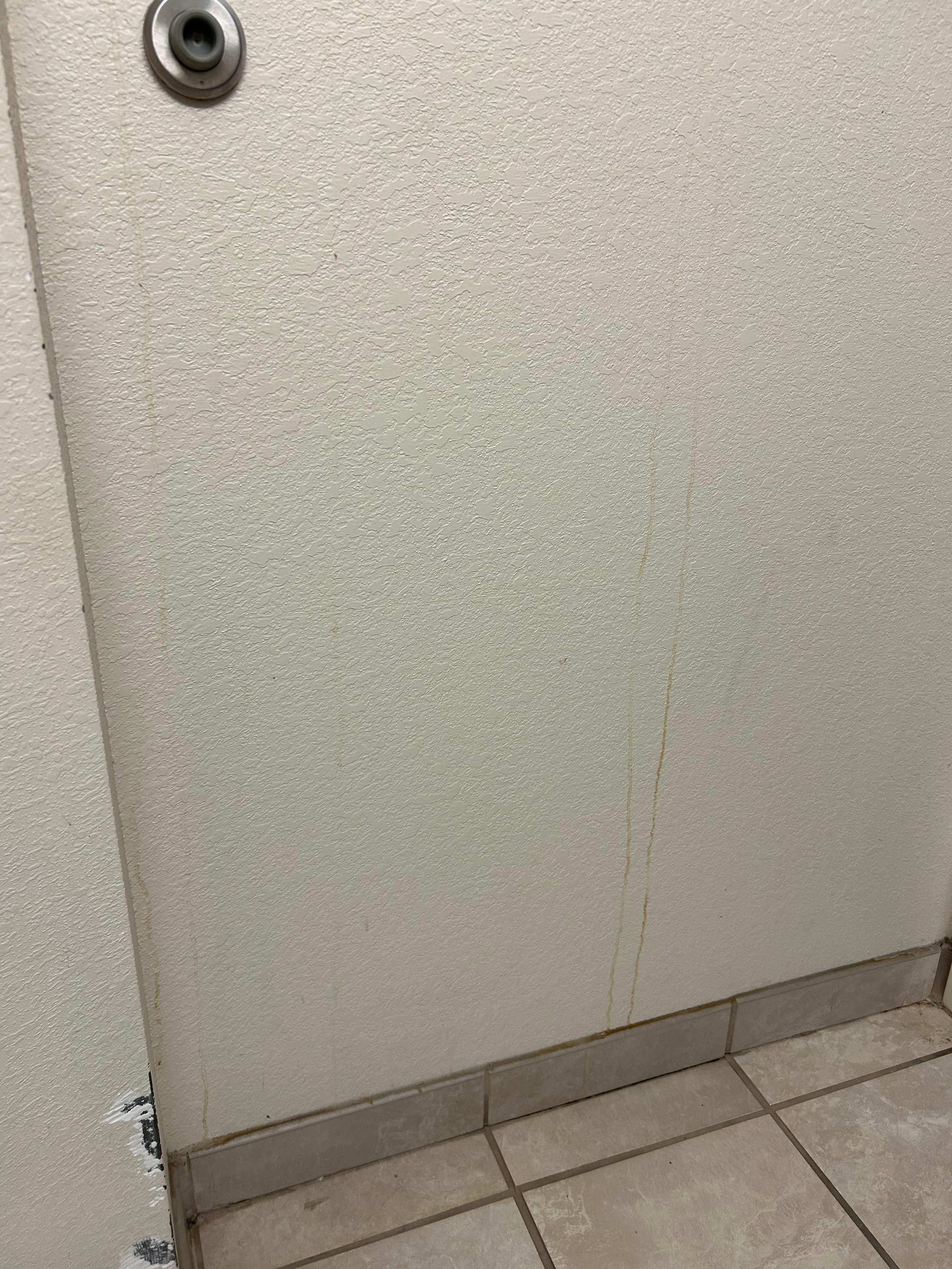 Bathroom wall