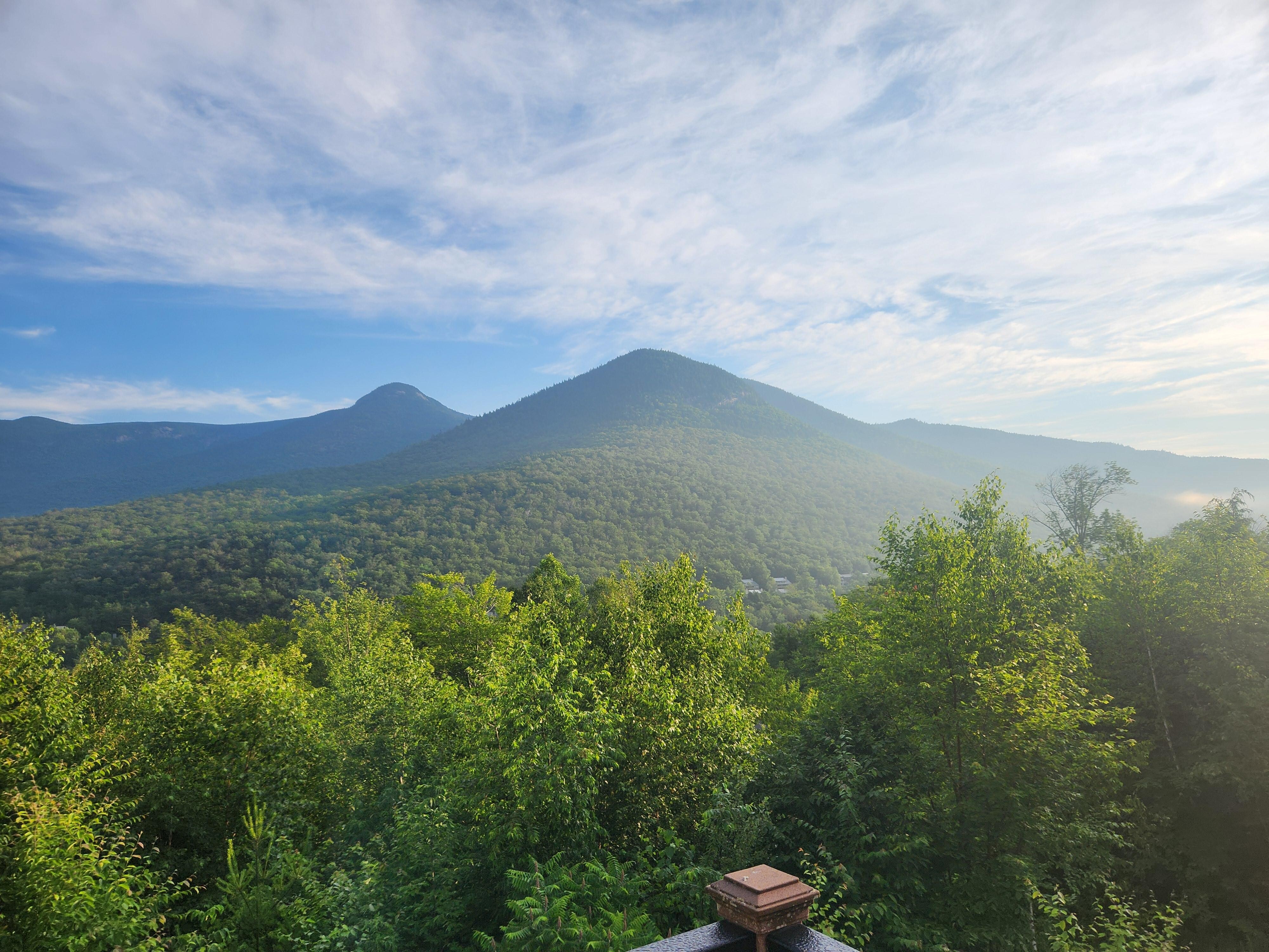 The view from the porch.