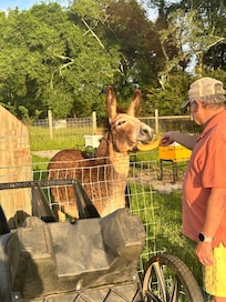 Meet Jack and Bill our host