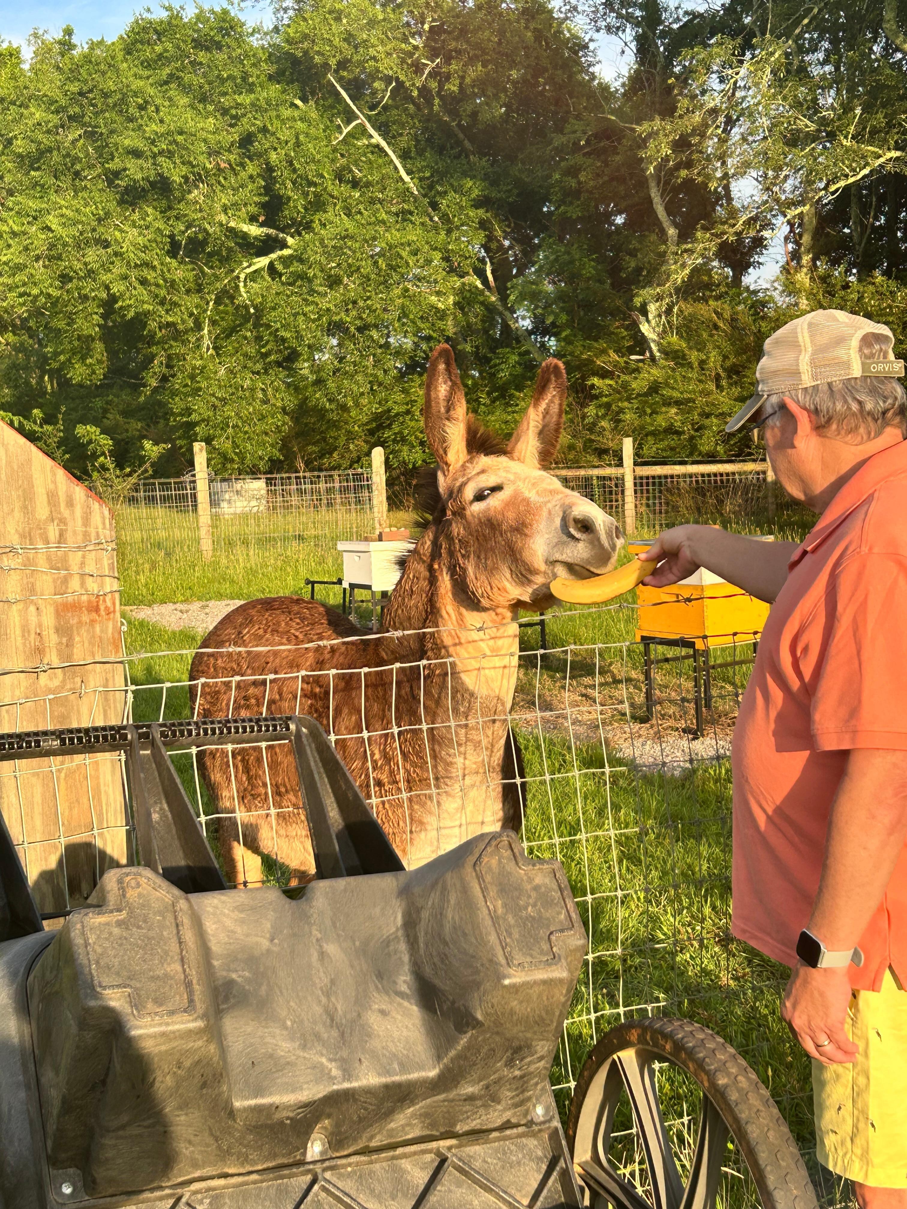 Meet Jack and Bill our host