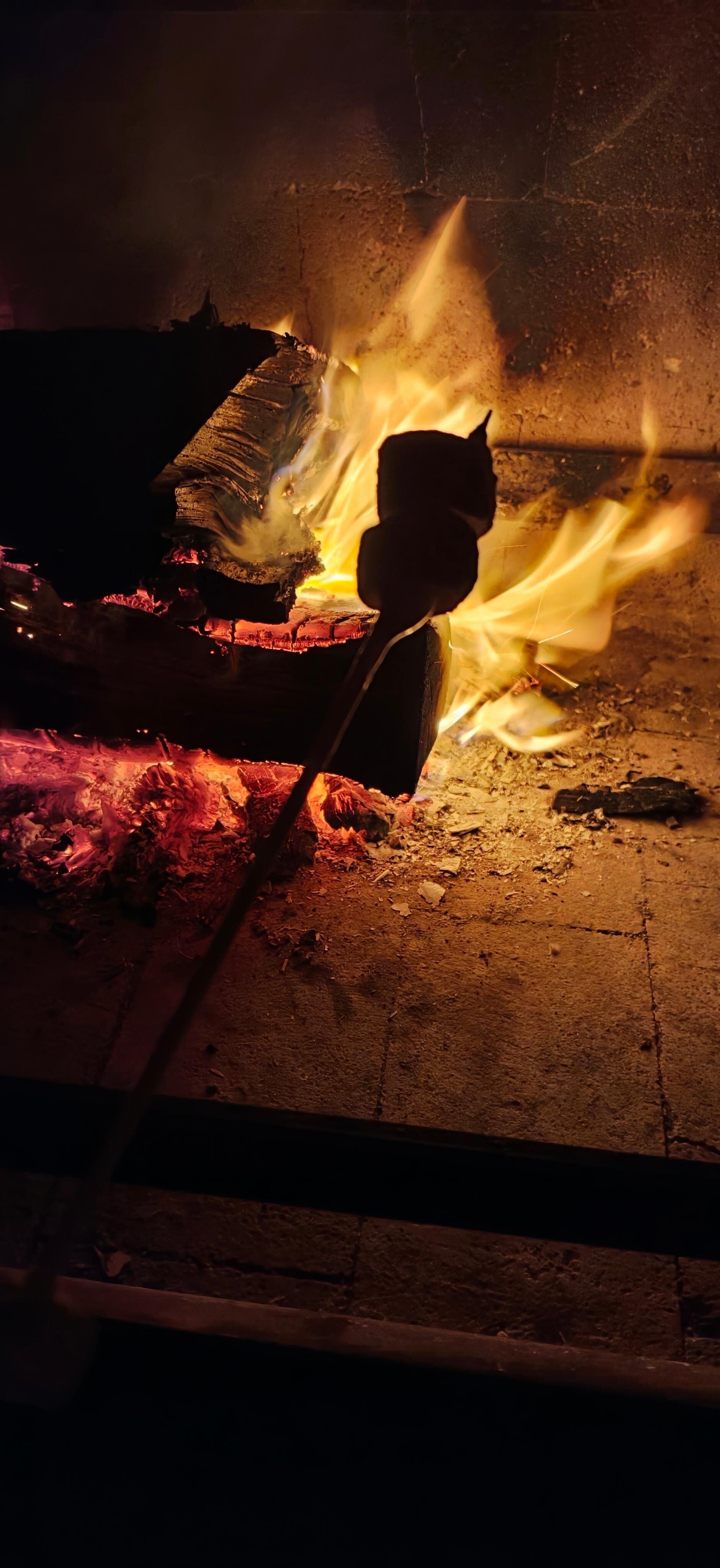 Toasting marshmallows under the starry sky