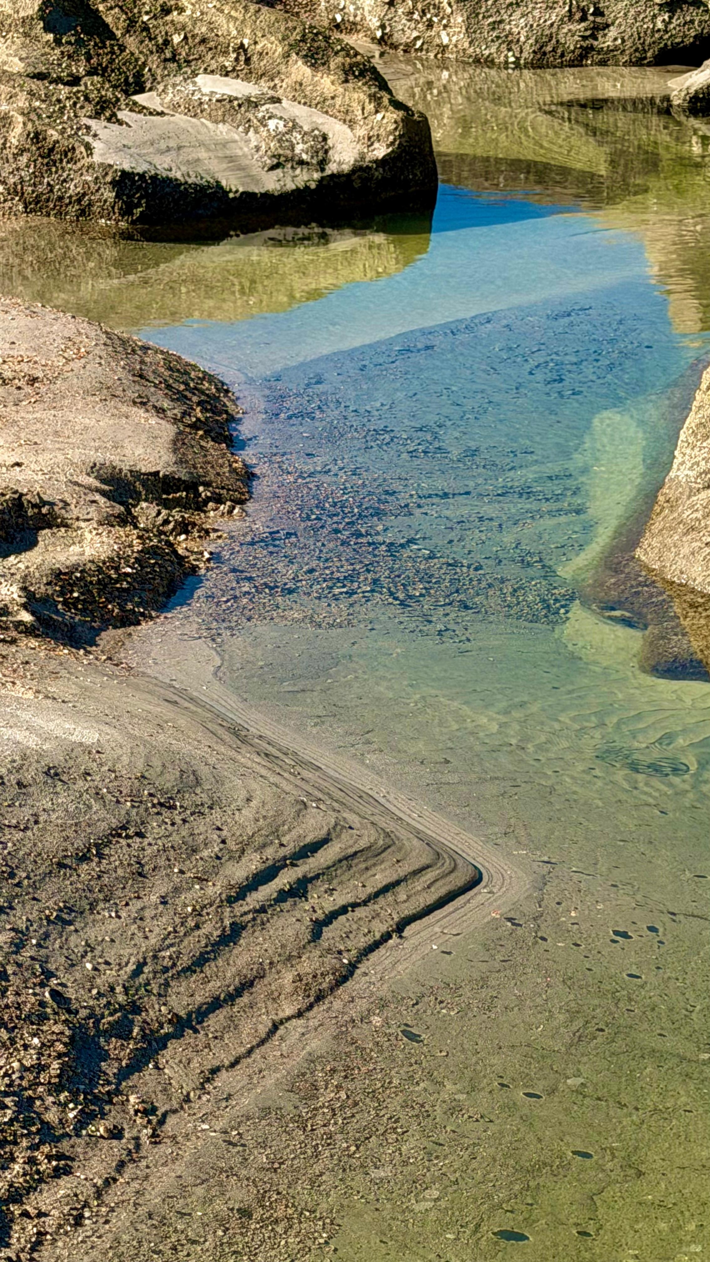 Tide pools by the rock jetty. 