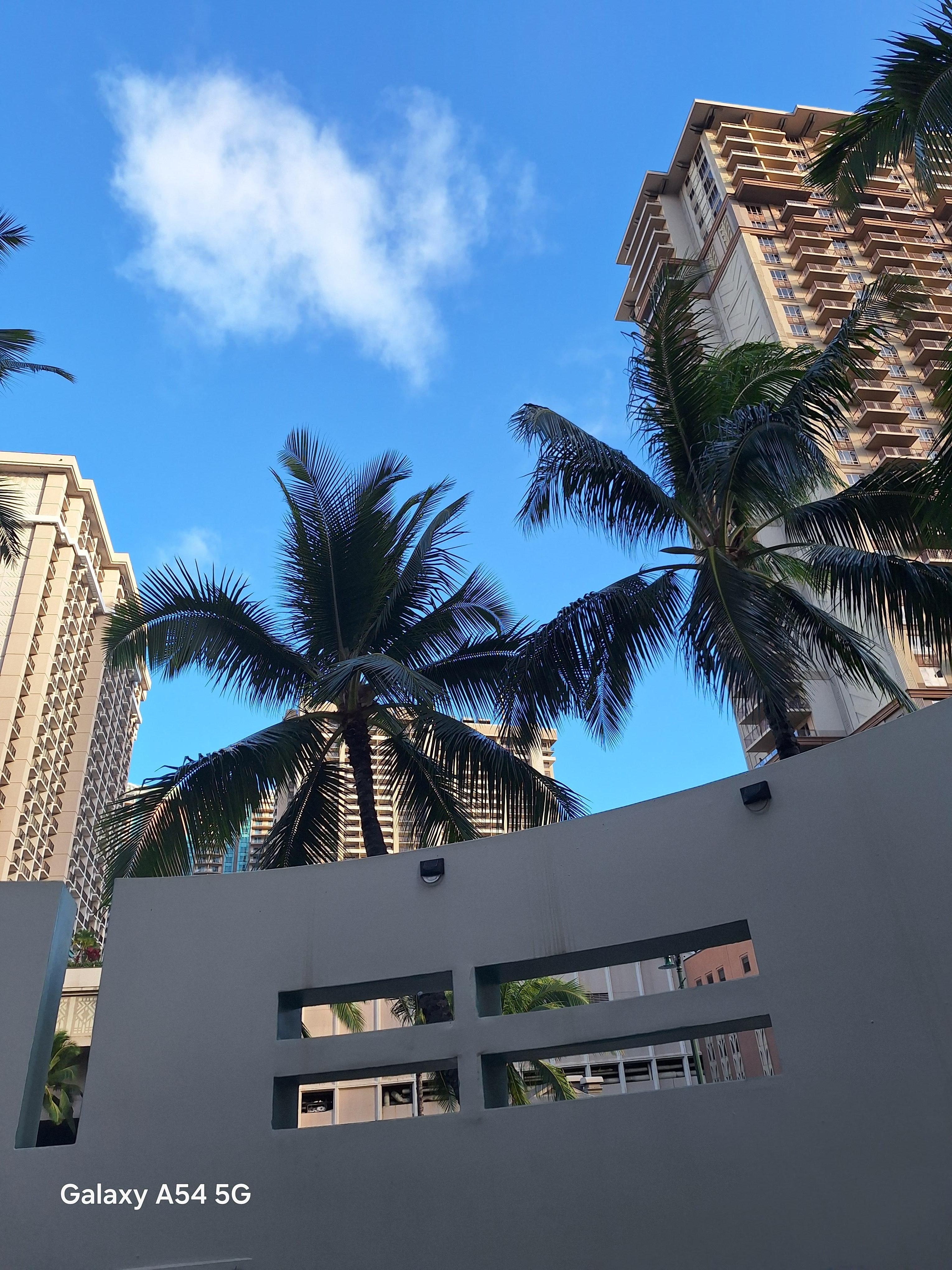 The view from the pool