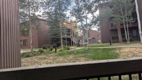 view from back deck