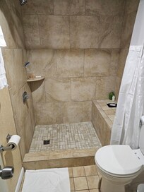 Masterbath has a gorgeous shower