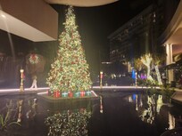 Decked out for Christmas