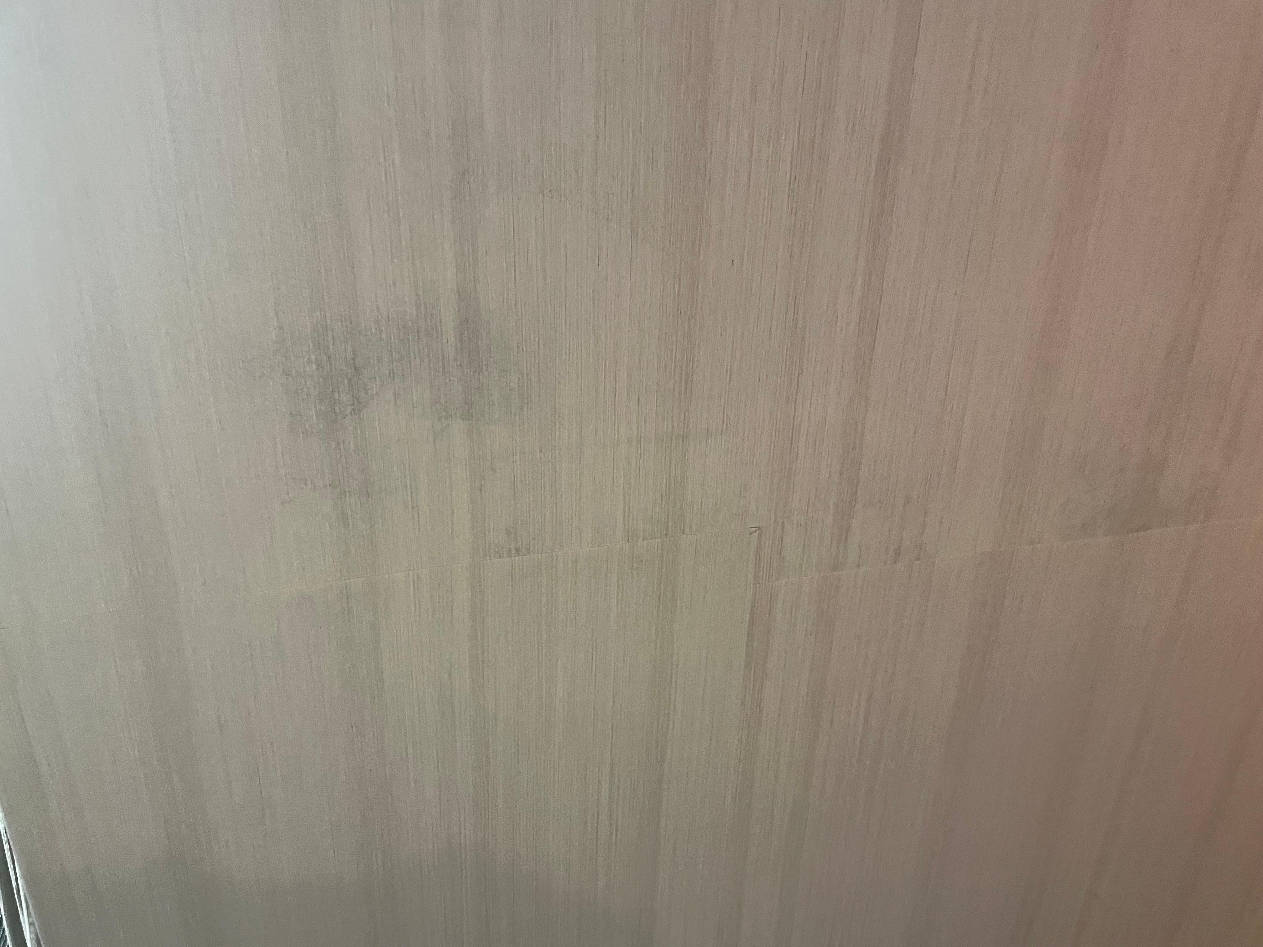 Wallpaper over black mold.