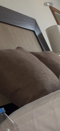 Los cojines de la cama, demasiado viejos y manchados