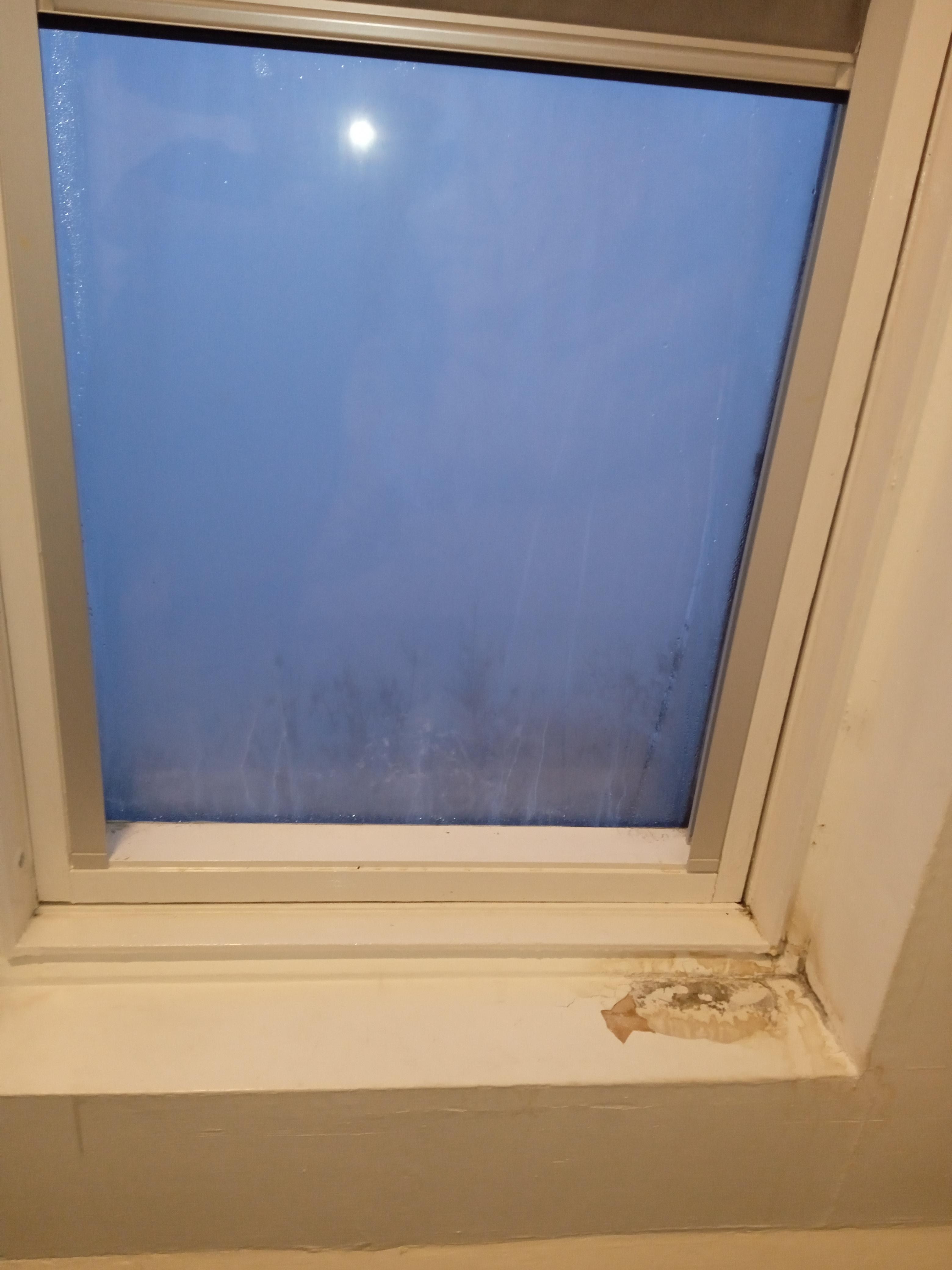 Peeling paint & mold