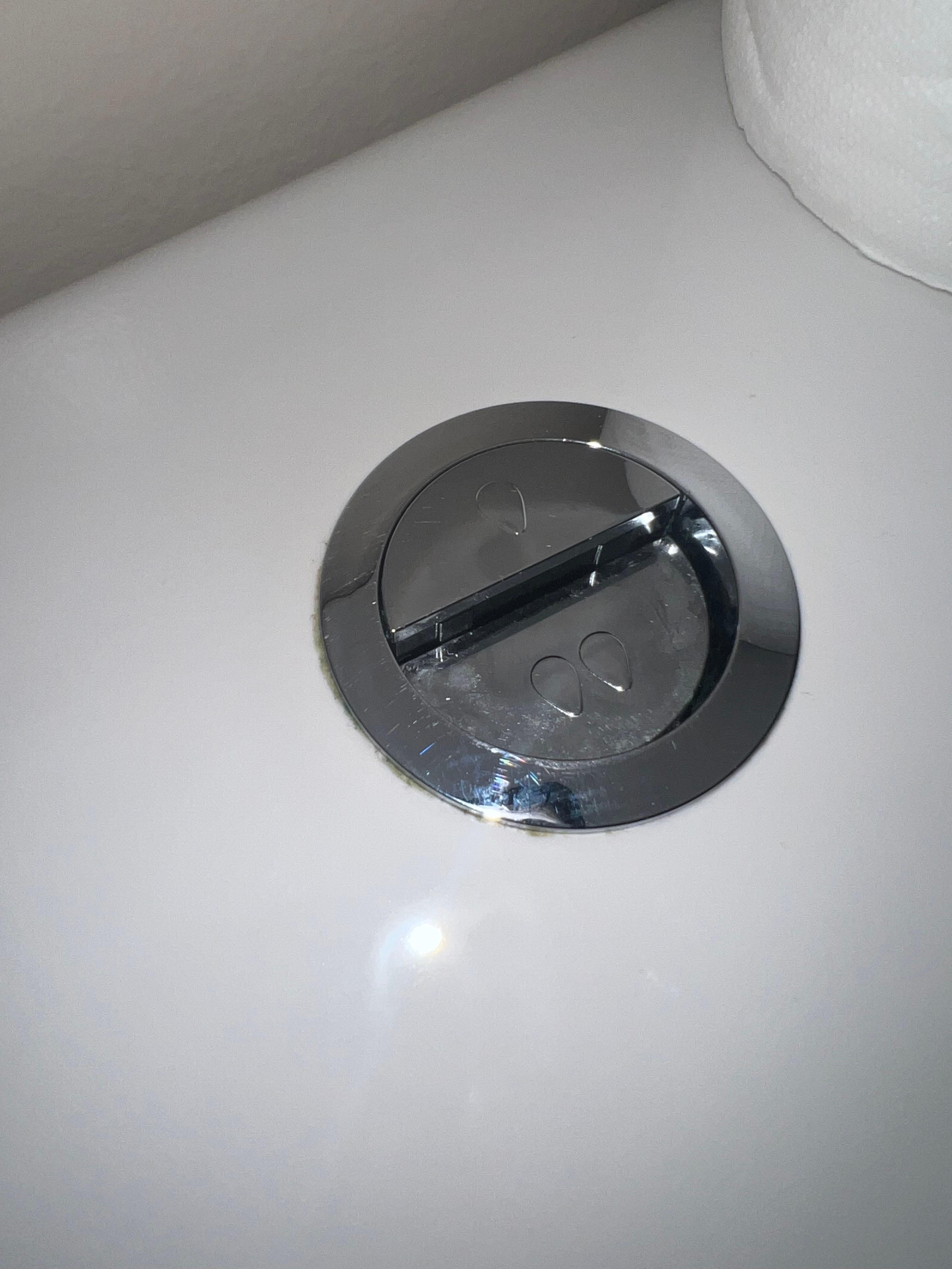 Flusher that needs replacing