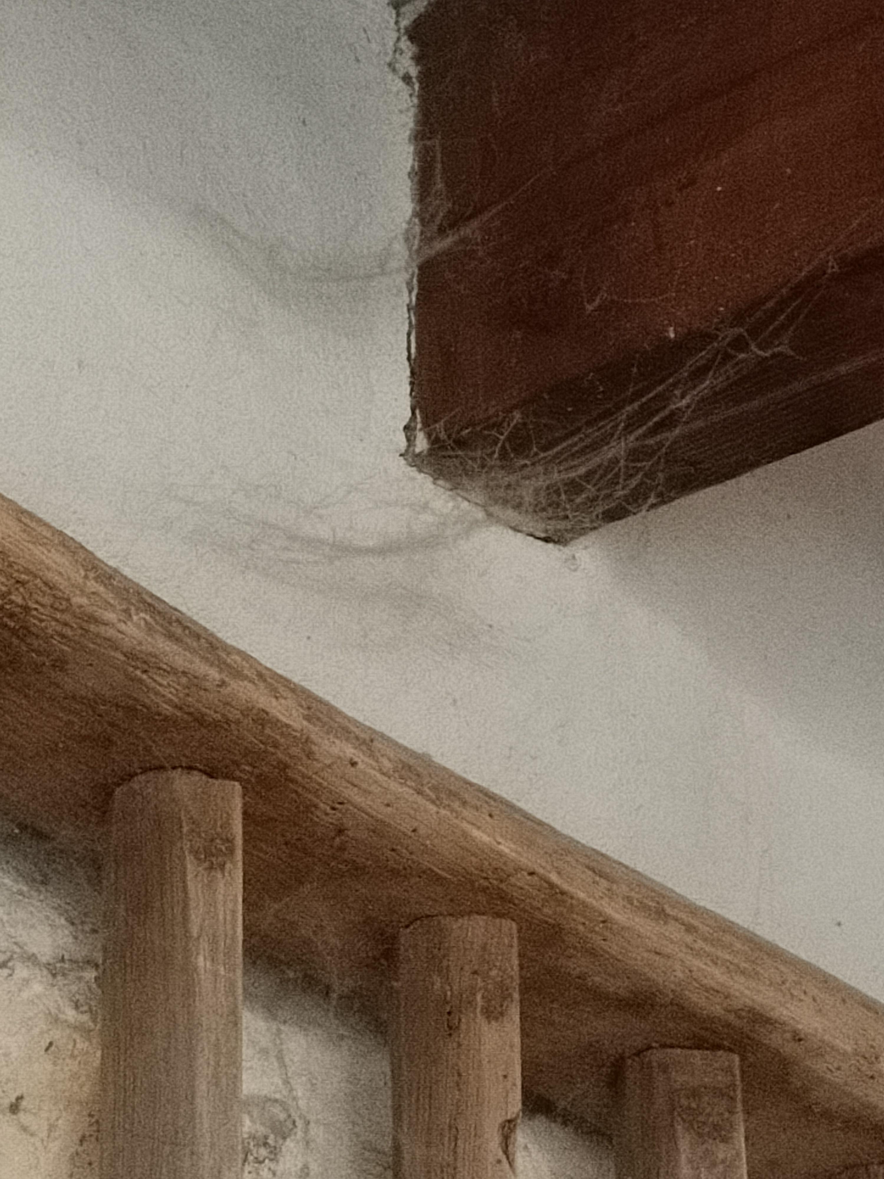 Toile d'araignée de plusieurs jours 