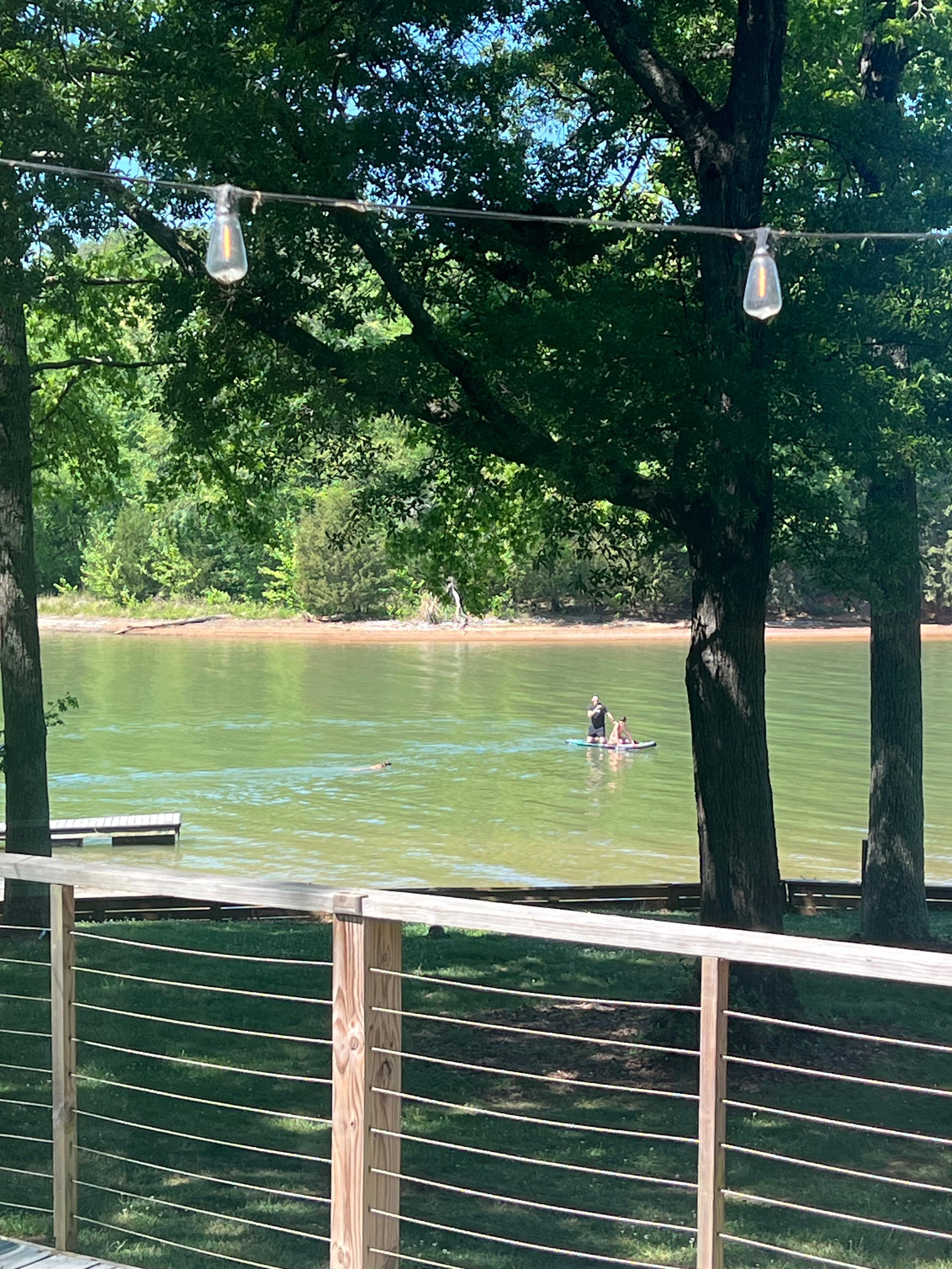 The location is just slightly off the main lake in a cove which makes the view perfect and the water easy to use. Paddleboard was provided. 