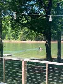 The location is just slightly off the main lake in a cove which makes the view perfect and the water easy to use. Paddleboard was provided.
