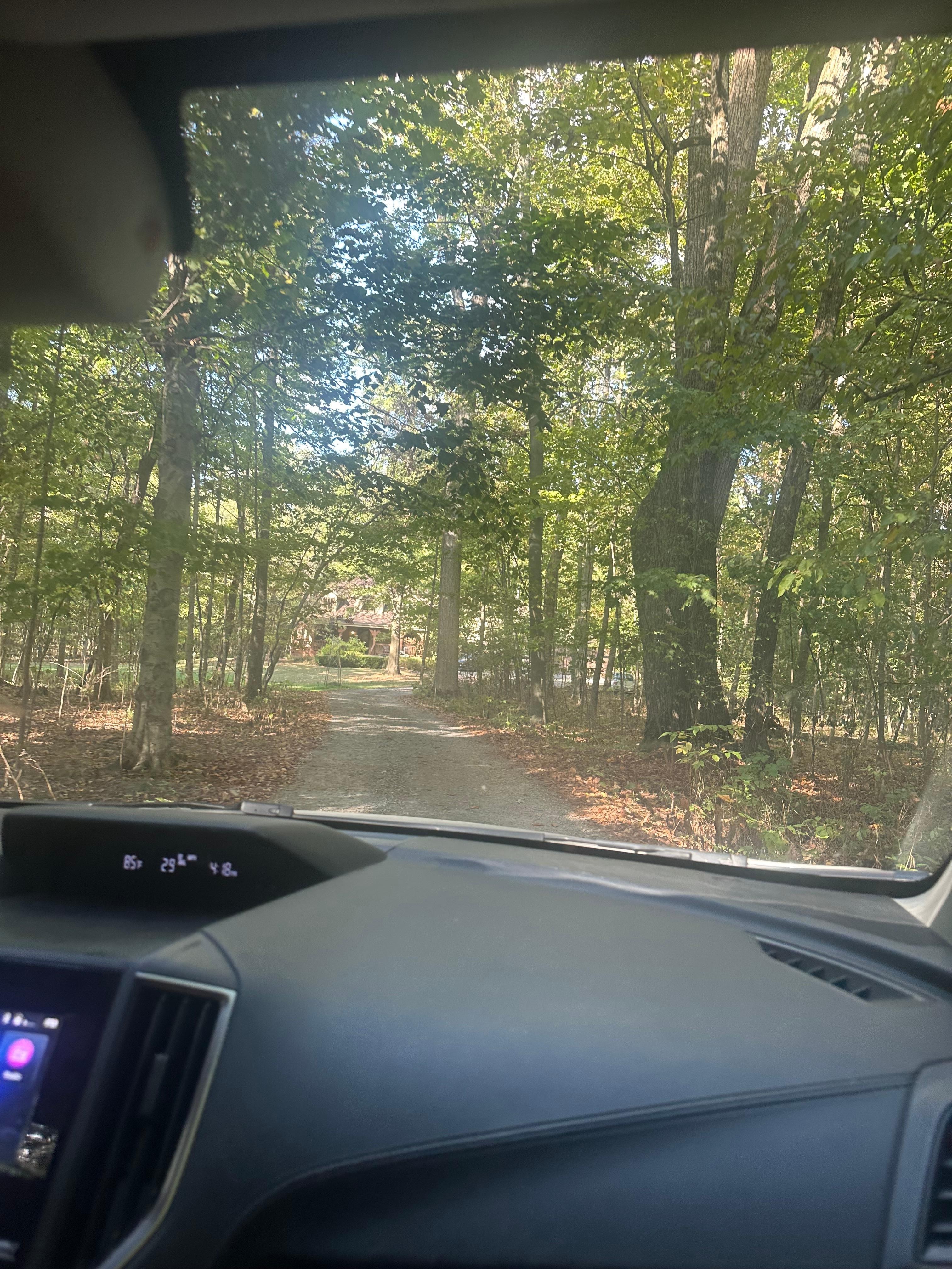 Driving up the driveway to get to the Suite. (Surrounded by woods, just as described). 