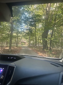 Driving up the driveway to get to the Suite. (Surrounded by woods, just as described).