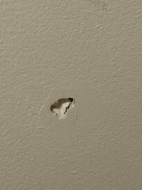 Holes in drywall