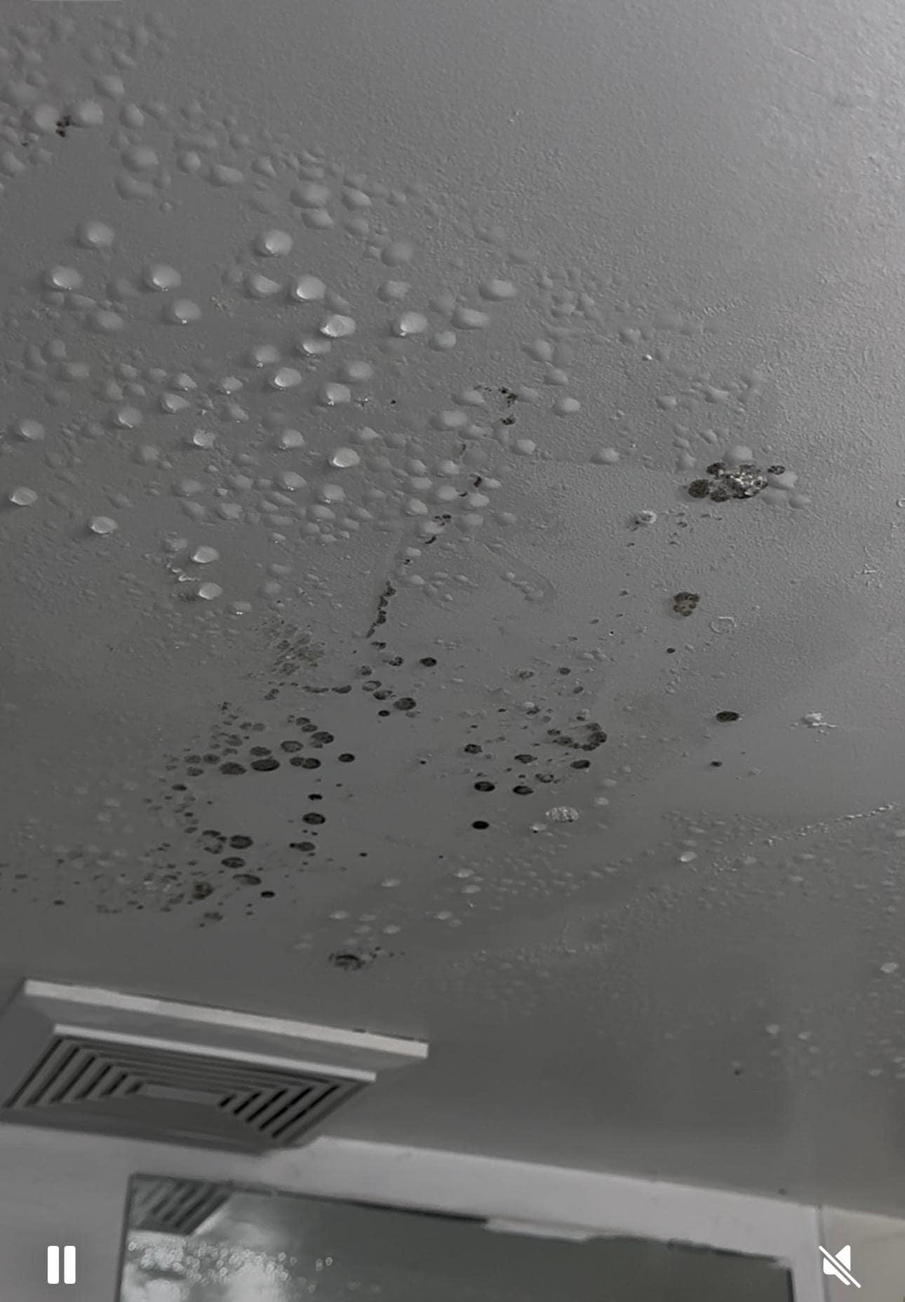 Mold in the bathroom ceiling. It was like that when I arrived.